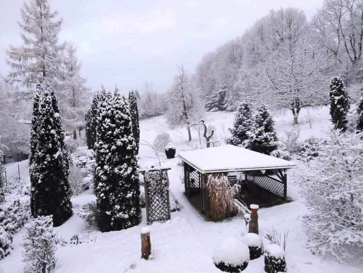 "Agroturystyka Pod Magnolia" Rybnica 33 Bagian luar foto